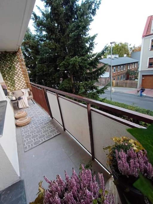 Apartament Podgorna 19 Lejlighed Stary Toruń Eksteriør billede