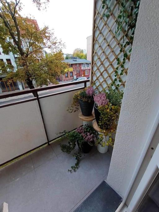 Apartament Podgorna 19 Lejlighed Stary Toruń Eksteriør billede